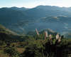 Four Seasons Tented Camp Golden Triangle 